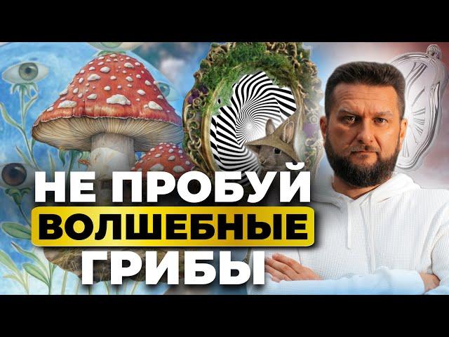 Как псилоцибин перестраивает наш мозг и мышление? Микомистицизм.