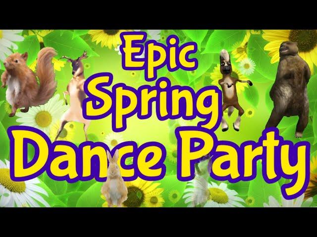 Spring Dance Party - Freeze Dance Brain Break | GoNoodle Inspired