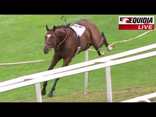 HORSE RACING FAILS ! | Zap Equidia