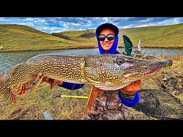 Fishing Northern Pike Heaven in Saskatchewan Canada