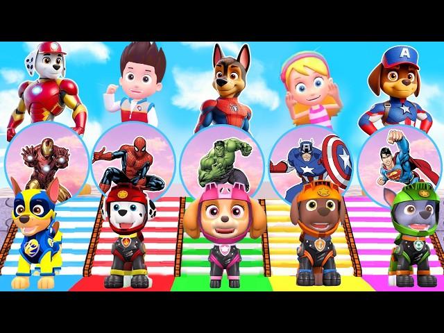 PAW Patrol CHALLENGE Choose The Correct Egg Become Spider-Man 5 Times Challenge With Chase