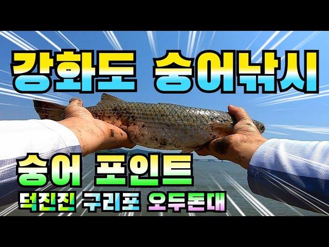 강화도 숭어 낚시 / 숭어 포인트 탐사 / 덕진진 구리포 오두돈대 / Mullet fishing