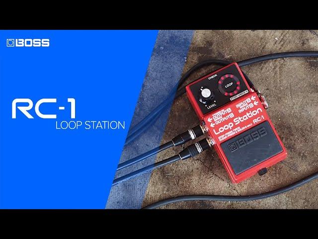 RC-1 Loop Station performed by Joe Robinson