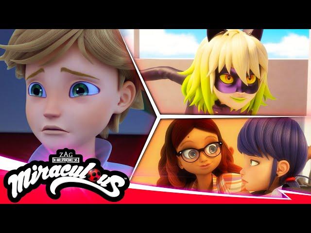 MIRACULOUS |  COMPILATION 4 - SEASON 5  | Tales of Ladybug & Cat Noir