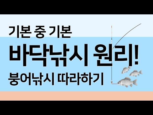 붕어낚시 입문자 필수! 붕어 바닥낚시, 찌올림 낚시 기본 원리 l 붕어낚시 입문 강좌 l 물가에선나무 붕어낚시 동영상 방송 채널