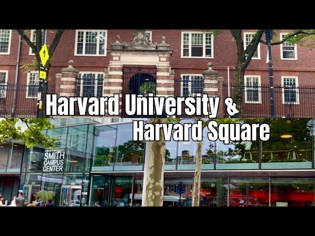 (Outdoors) Harvard University and Harvard Square 20240622