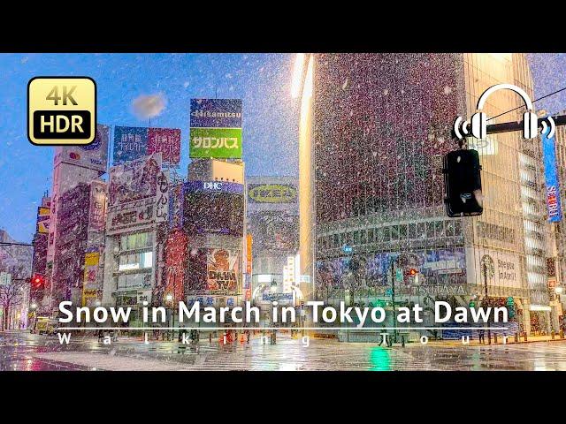 Japan - Snow in March in Tokyo at Dawn 3/8 2024 [4K/HDR/Binaural]