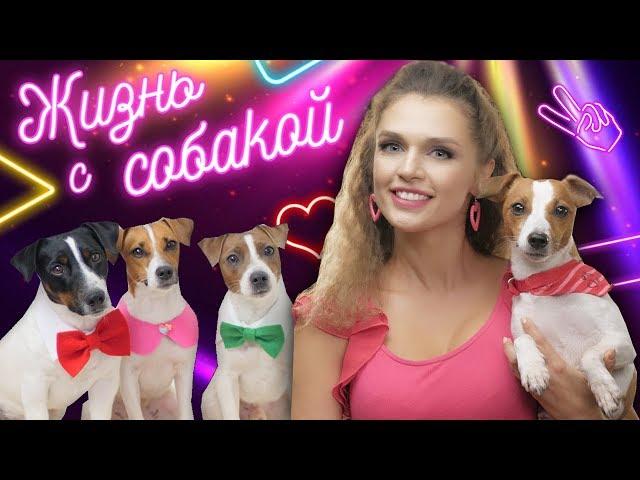 КЛИП НА 100.000 ПОДПИСЧИКОВ / Darina Sweet - ЖИЗНЬ С СОБАКОЙ