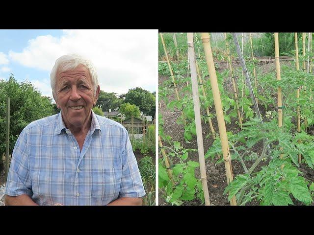 Planting Leeks, Beetroot, Tomatoes, And Courgettes.