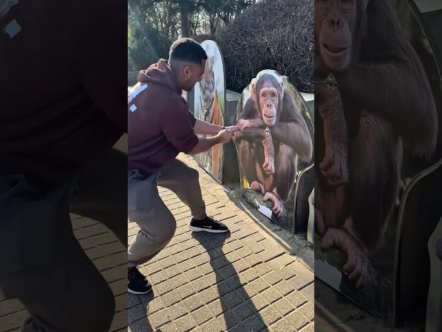 Humans vs. Animals Strength Test