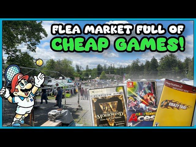 Flea Market Nintendo Switch Games and MORE! || YouTube Retro Video Game Hunting!