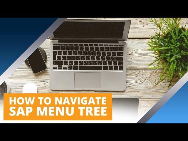 How to navigate the SAP menu tree