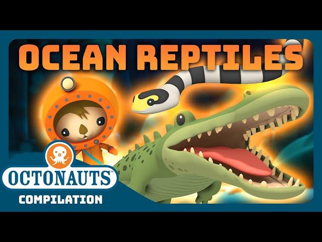 @Octonauts -  Awesome Ocean Reptiles!  | 2 Hours+ Full Episodes Marathon