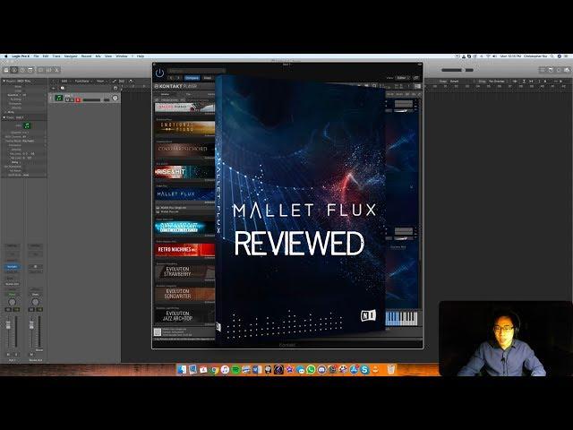 Native Instruments & Sonuscore: Mallet Flux (Reviewed)