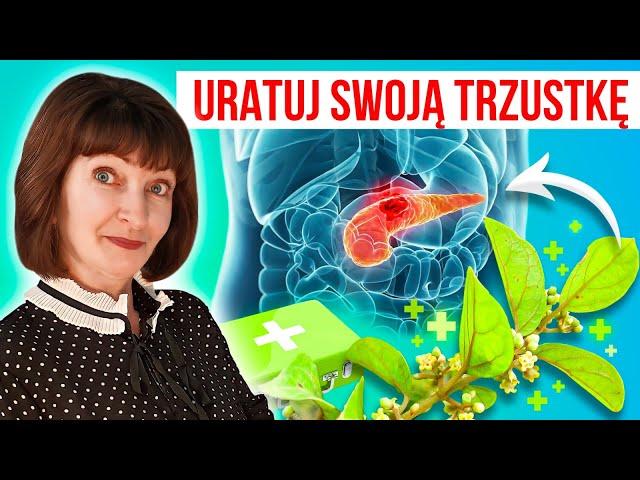  Jak leczyć chorą TRZUSTKĘ?  Trzustka. Objawy, BADANIA, naturalne metody wspomagania. cz.2