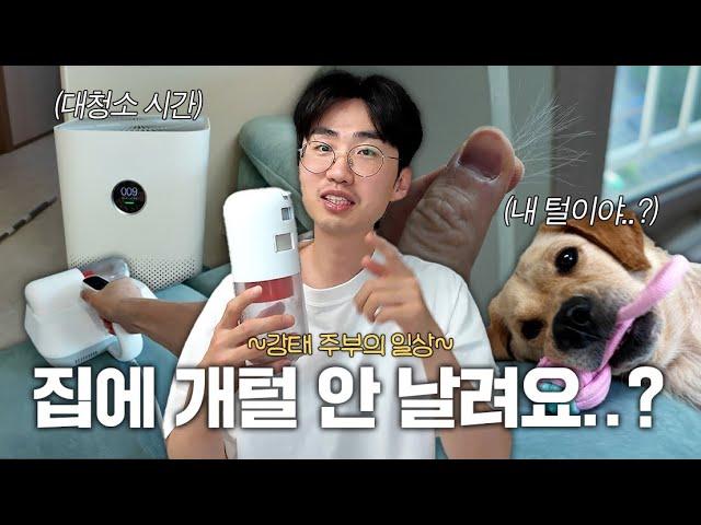 아파트에서 대형견을 키운다는 건