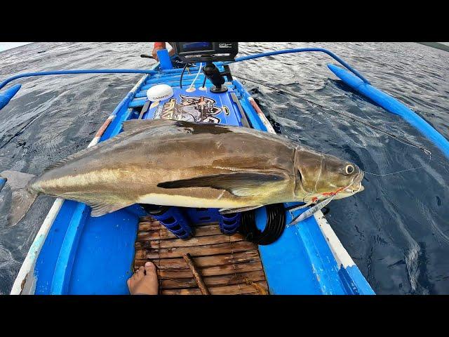 Fast Jigging | Fishing in the Philippines