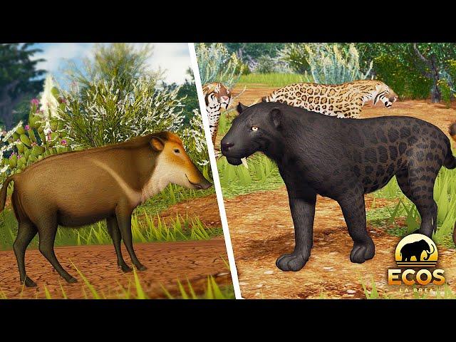 Ecos: La Brea NEW Peccary AI, Smilodon skins & More!