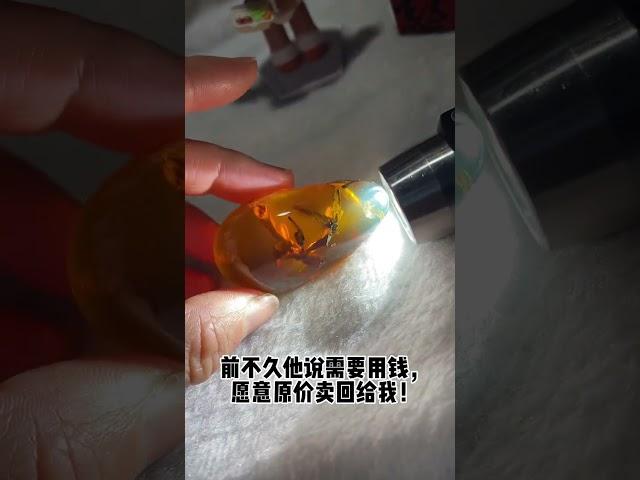 琥珀 琥珀直播 – 对庄高端 琥珀 蜜蠟 蜜蜡 珠宝定制，琥珀 养心， 蜜蠟 养人，定制属于你的 琥珀 蜜蠟 蜜蜡 珠宝 代购 挂坠，全网最权威 琥珀教学 蜜蠟教學 蜜蜡教学 #琥珀  #蜜蠟 #蜜蜡