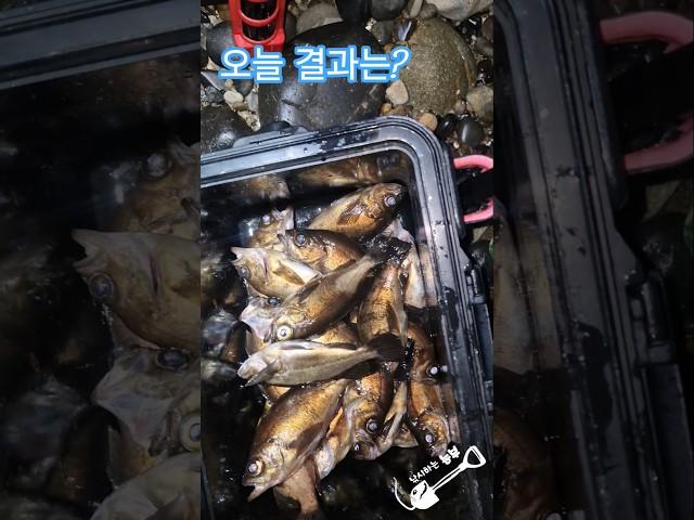 5월 20일 볼락낚시 #남해 #생활낚시 #농촌브이로그 #볼락 #밤낚시 #찌낚시 #fishing