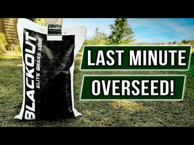 Overseeding My Neighbor's Lawn with BLACKOUT TTTF