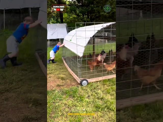 Moving Free-Range Chicken Cage! 