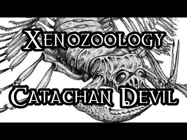 Xenozoology: Catachan Devil - 40K Theories