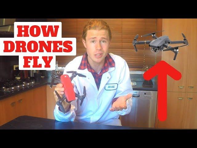 HOW DO DRONES FLY?