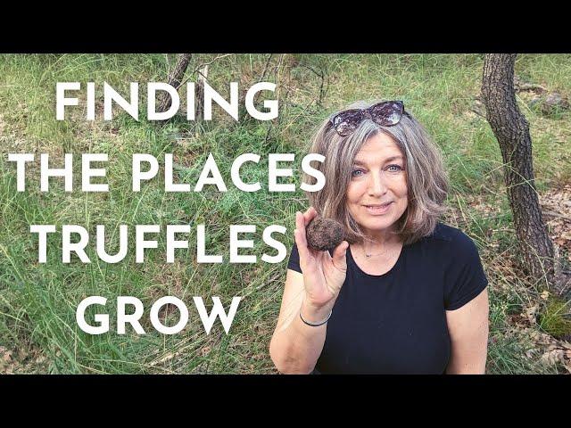 Searching for the Places Where Truffles Grow