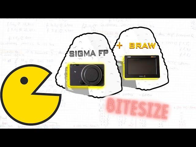 BITESIZE "How to correctly expose Sigma FP RAWs EP.2 BRAW"