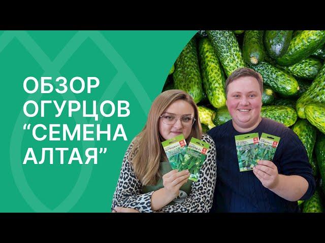 Лучшие семена огурцов от компании Семена Алтая!