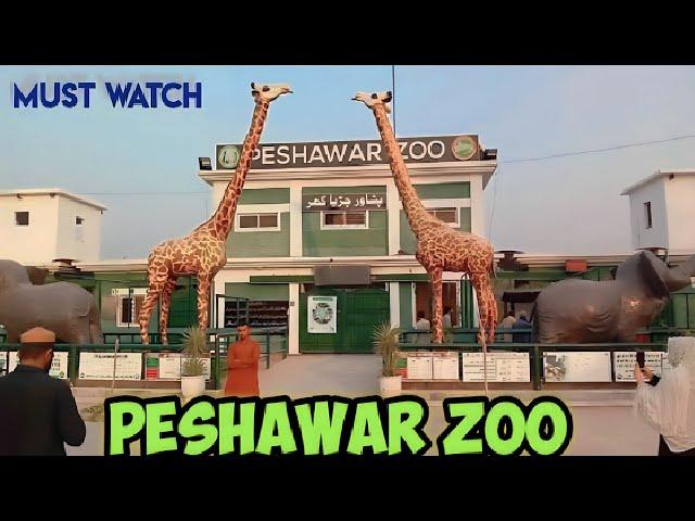 Peshawar Zoo || Wild Animals In Peshawar Zoo || Latest Video On Peshawar Zoo