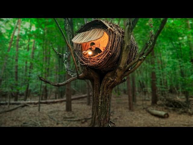 Building a Warm and Cozy NEST | Bushcraft tree house, Survival shelter, Forest cabin