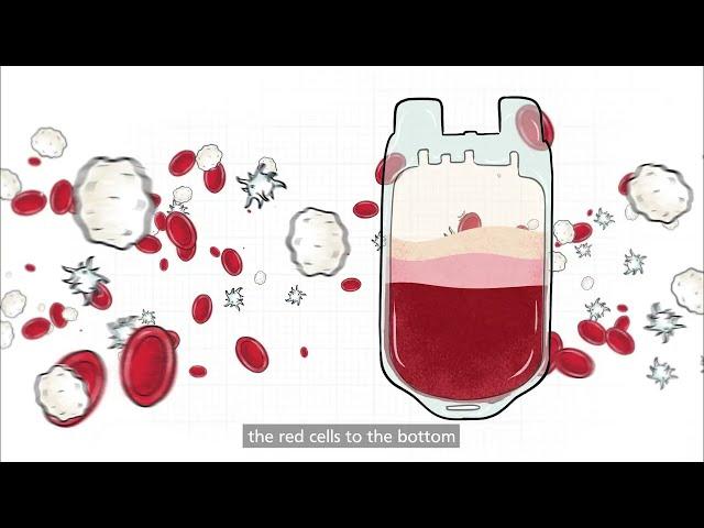 The Journey of Blood: What happens after you give blood | NHS Give Blood