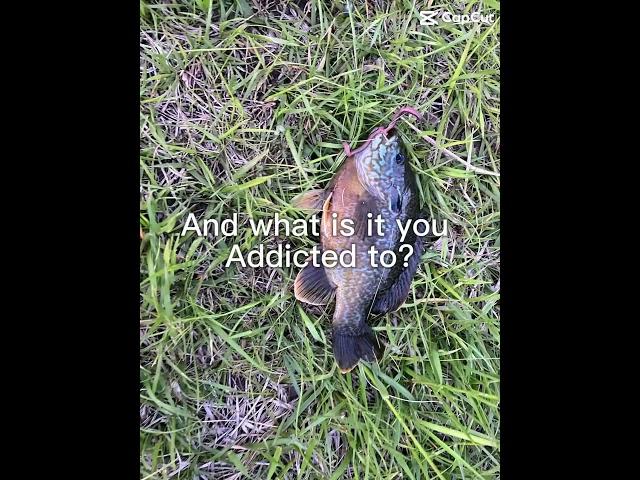 Fishing all the way
