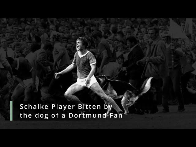 The Mother Of All Derbies | Dortmund Vs Schalke | Bundesliga