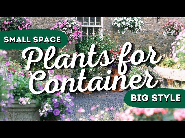 Small Space, Big Style: The 7 Best Container Garden Flowers 