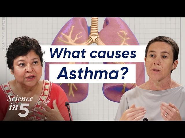 WHO’s Science in 5 - Asthma: what you need to know - 2 August 2024