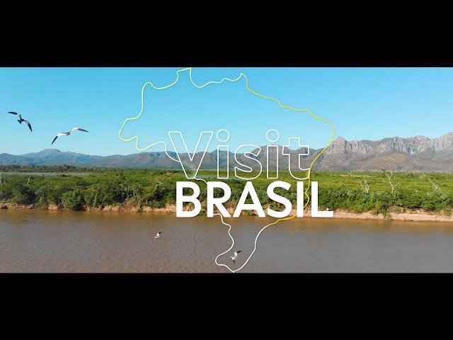 Explore the Majestic Nature in Brazil