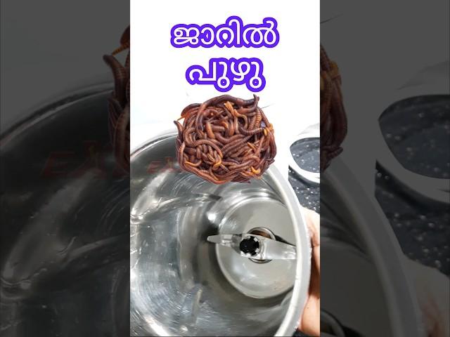 How to clean maxi jar |  മിക്സി ജാർ ക്ലീനാക്കുന്നതെങ്ങനെ? | Excel Electricals