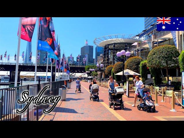 Sydney Spring Walk - Darling Harbour - 【4K 60fps】