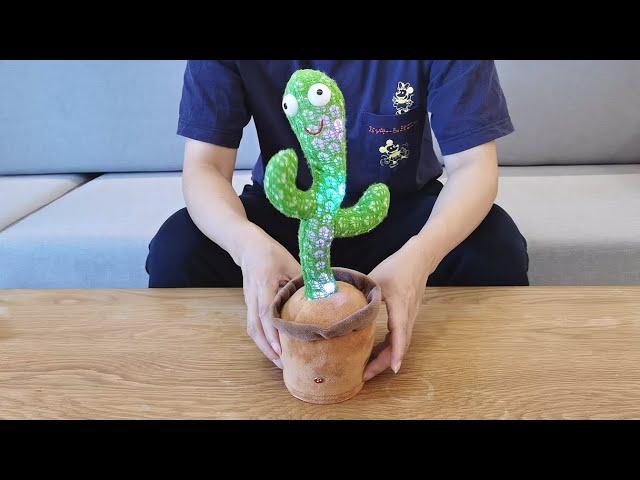 How to Use Dancing Cactus Plush Toy 2021