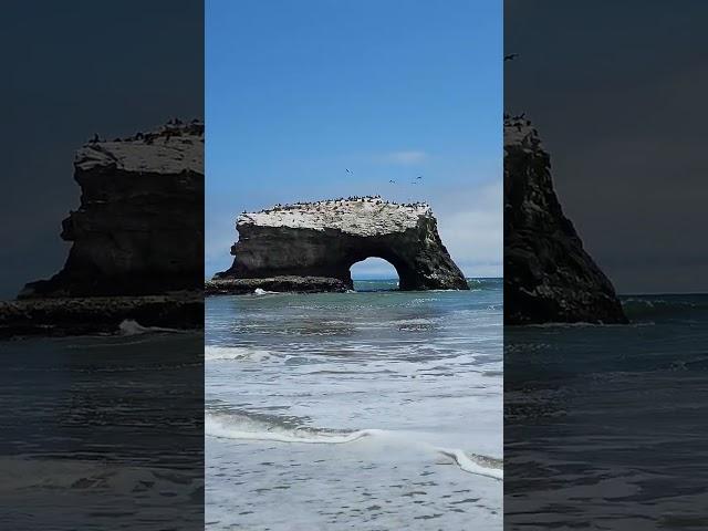 Beach Day at Natural Bridges State Beach