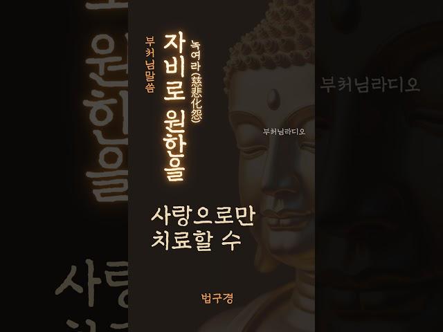 자비로 원한을 녹여라(慈悲化怨) | 부처님말씀 | 석가모니명언 | 인생지혜 | 명상의말씀