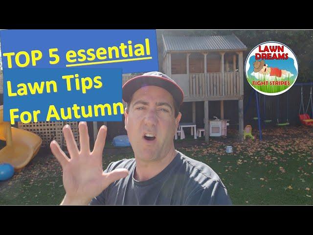 5 Essential autumn lawn care tips