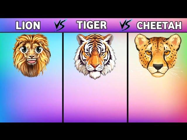 Lion Vs Tiger Vs Cheetah Who will win⁉️|| Comparision Video|| @MrFactobee #animals