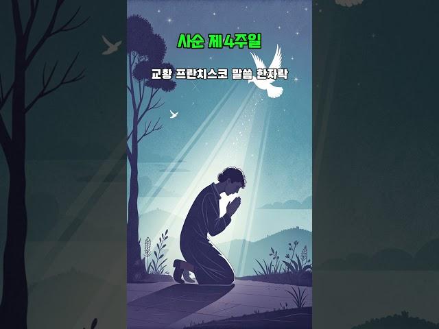 250330 사순 제4주일, 천주교의정부교구 민족화해센터 #카톨릭 #가톨릭 #천주교 #의정부교구