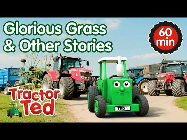 Glorious Grass & Other Tractor Ted Stories  | Tractor Ted Compilation | Tractor Ted Official