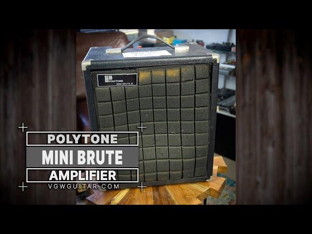 Polytone Mini Brute Amplifier - VGW