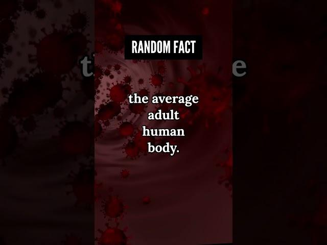 Curious Fact About Veins #shortvideo #facts #science #veins